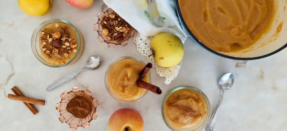 Puré de Maçã Caseiro Sem Açúcar – Receita Saudável, Fácil e Deliciosa