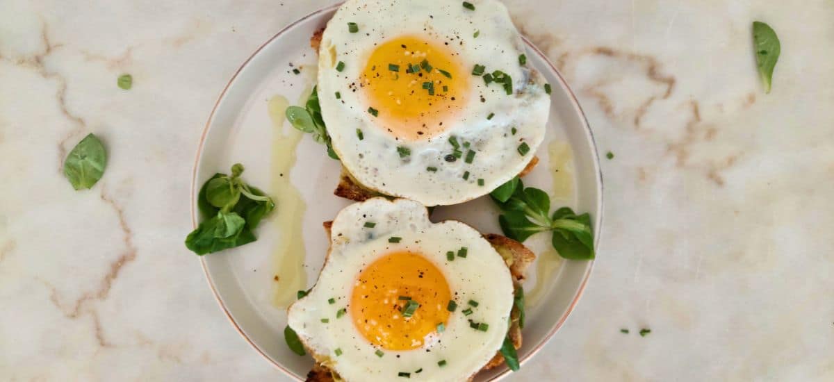 Tosta de abacate com ovo e queijo cottage: Receita Rápida